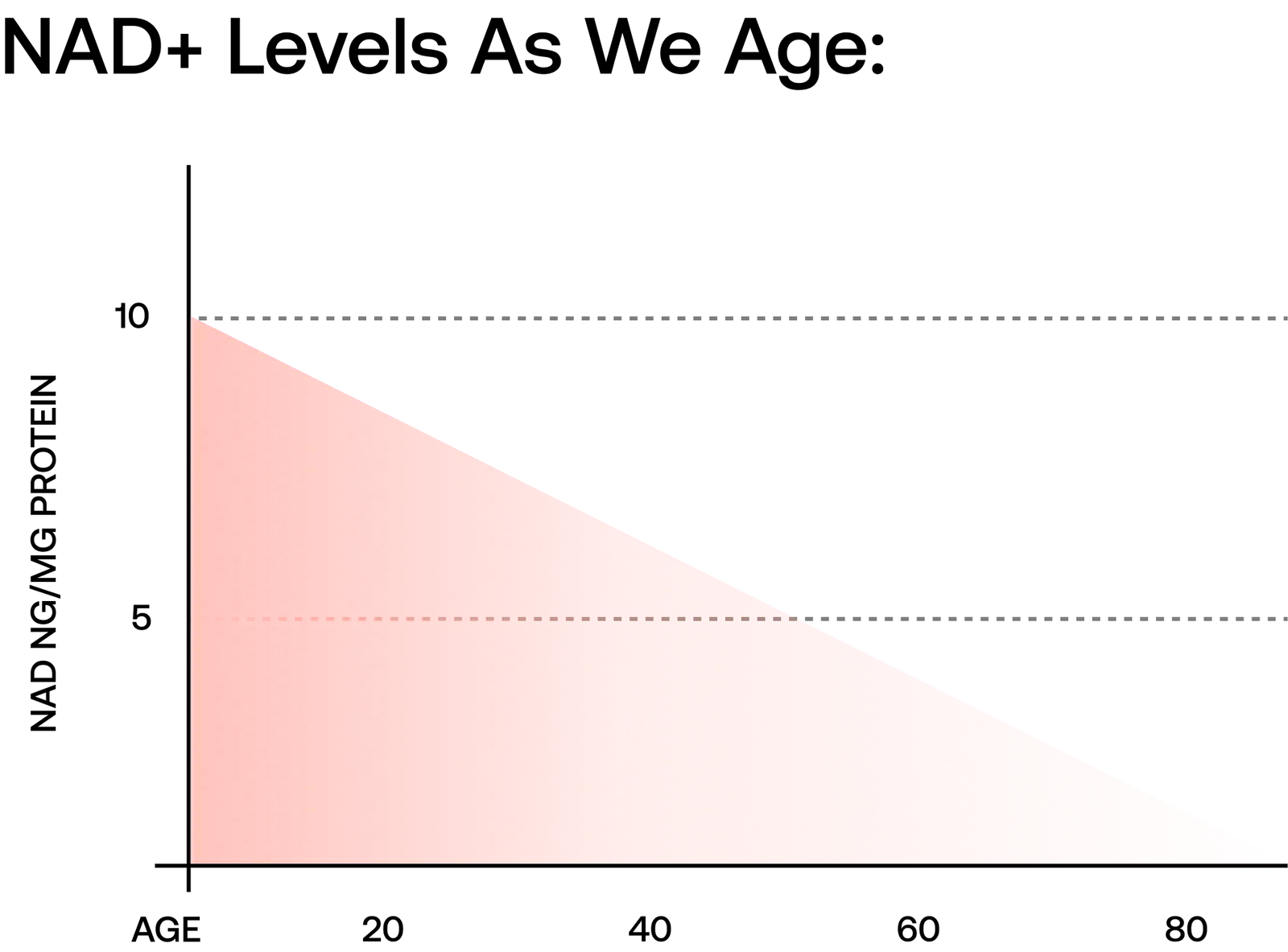How NAD+ Restores Your